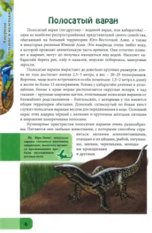 Людмила Соколова: Энциклопедия. Ящерицы большие и маленькие
