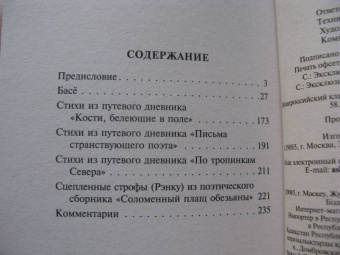 Мацуо Басё: Во тьме безлунной ночи