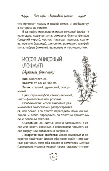 Холли Беллебуоно: Маленькая книга трав