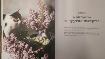 Ольга Демьянова: Время десерта - сейчас. Уютная выпечка и коты для безудержного хюгге в любое время года