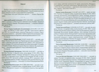 Андрей Зобнин: Противостояние. Шенкурский уезд Архангельской губернии. 1918-1920 годы