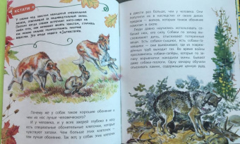 Танасийчук, Волцит, Альтшулер: Почемучкины сказки о животных