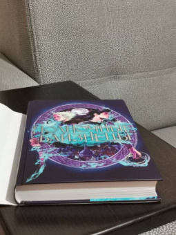 Холли Рейс: Полночные близнецы