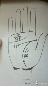 Вера Надеждина: Нумерология и хиромантия