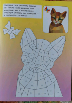 Котята и кошки