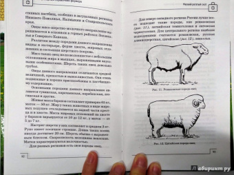 Л. Моисеенко: Ветеринарный справочник фермера