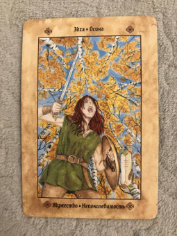 Асала, Идальго, Мюллер: Кельтские ритуалы + Кельтская народная кухня + Голоса деревьв. Комплект (6425)