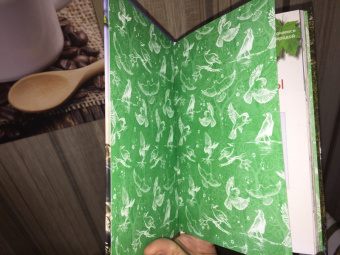 Василий Вишневский: Наши птицы. Определитель для детей