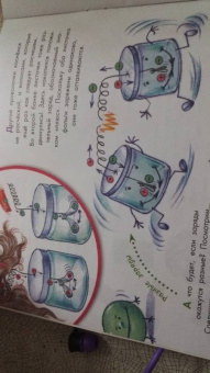 Петр Волцит: Из чего все сделано?