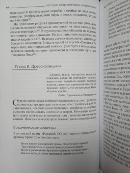 Владислав Даркевич: История средневековых развлечений. От куртуазных увеселений до карнавалов и праздников дураков