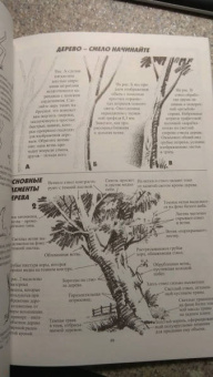 Джек Хамм: Как рисовать пейзаж