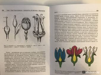 Барабанов, Зайчикова: Ботаника. Учебник