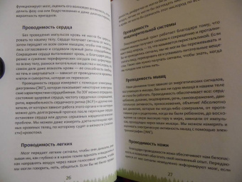 Лаура Конивер: Целительные рецепты Земли. Методы заземления для любого времени года