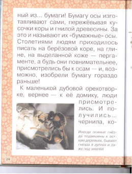 Инна Гамазкова: Гнезда, норки, домики