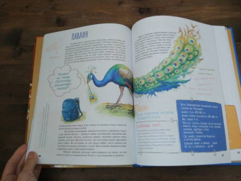 Наталья Преображенская: Мой любимый зоопарк