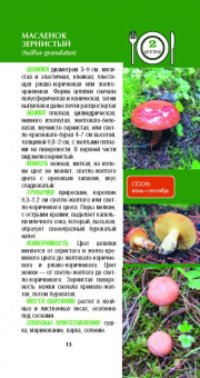 Матанцева, Матанцев: Грибы. Карманный справочник-определитель. Самые распространенные грибы и их двойники