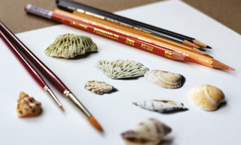 Марк Крилли: Вызов реальности. Секреты создания точных графических работ от современного мастера гиперреализма