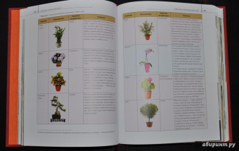 Наталия Баранова: Фэн-шуй. Большая энциклопедия