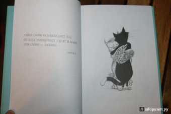 Крис Ридделл: 100 объятий