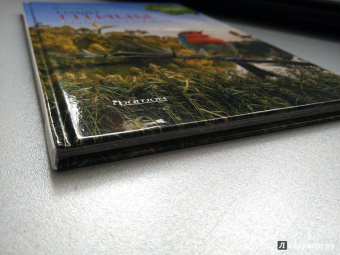 Василий Вишневский: Наши птицы. Определитель для детей