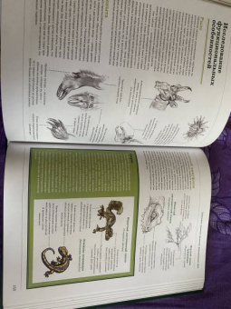 Рис, Метени, Бейкер: Создание фантастических существ. Полный курс. От разработки концепта до готового персонажа