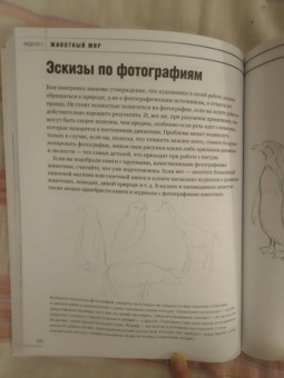 Баррингтон Барбер: Учимся рисовать за 6 недель. Материалы, техники, идеи