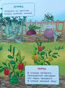 Ирина Шестакова: Овощи и фрукты