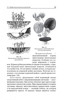 Шаламова, Крупина, Миникаев: Цветоводство. Практикум. Учебное пособие