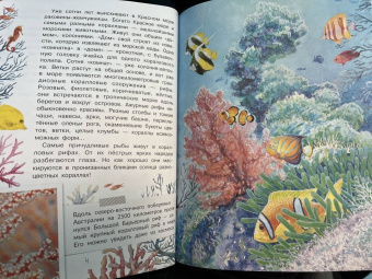 Александр Тамбиев: Как увидеть морское дно?