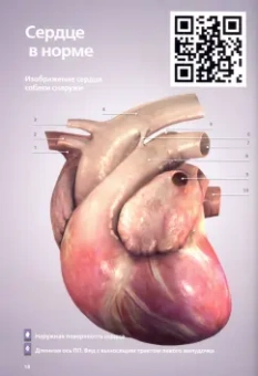 Очоа, Сампер: 3D-кардиология мелких домашних животных. Патофизиологические основы и диагностические ключи