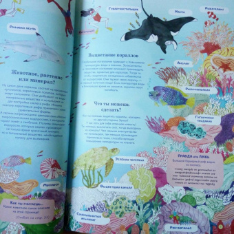 Амандин Тома: Через океаны