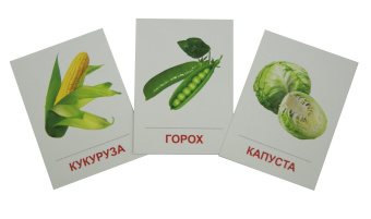 Раздаточные карточки "Овощи" (63х87 мм)