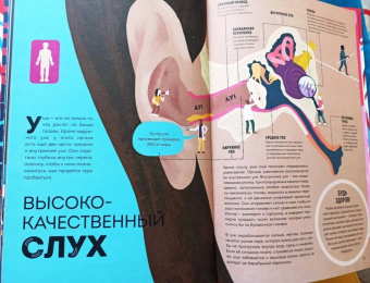 Макс Пембертон: Тело человека. Как работает наш удивительный организм