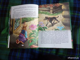 Дмитрий Мамин-Сибиряк: Сказка про славного царя Гороха и его прекрасных дочерей:  царевну Кутафью и царевну Горошинку