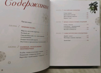 Виктория Ильина: С Новым годом и Рождеством! Иллюстрированная история новогодних открыток