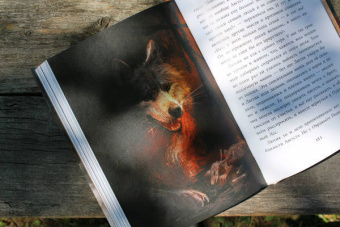 Анастасия Строкина: Держиоблако