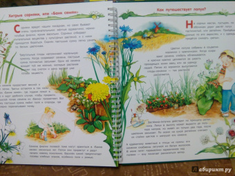Татьяна Елумеева: Растения