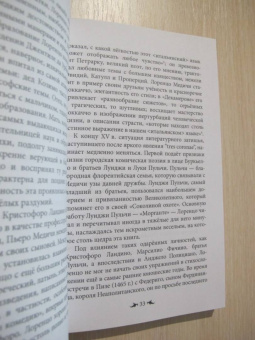 Дарья Шевлякова: Цвет Тосканы. Лоренцо Великол и поэтика слова в ренессанской Флоренции