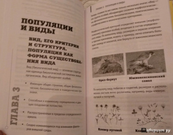 Андрей Шляхов: Биология на пальцах