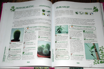 Иллюстрированная энциклопедия комнатных растений
