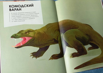 Олливье, Клаас: Животные-гиганты