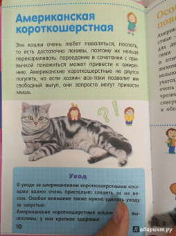 Смирнов, Хомич: Кошки и котята