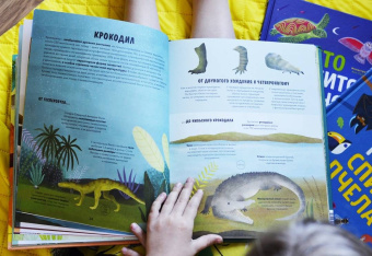 Дуниа Рахван: Эволюция. Как изменилась жизнь за миллиарды лет