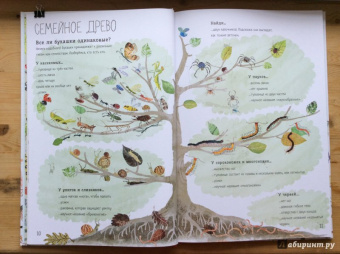 Зоммер, Тейлор: Большая книга букашек