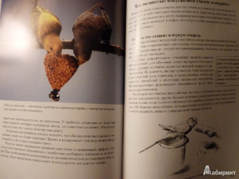 Курт Колар: Волнистые попугайчики. Содержание и уход