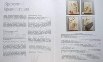 Эрик Кайзер: Ларусс. Энциклопедия хлеба