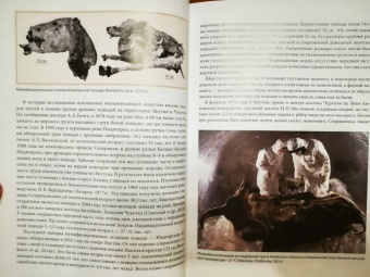 Андрей Шпанский: О мамонтах и их спутниках. Палеоэкология мамонтовой фауны