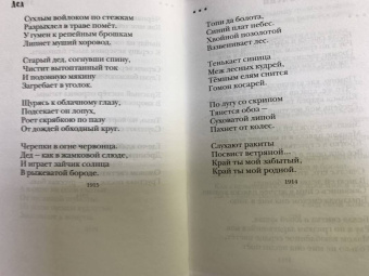 Сергей Есенин: Не жалею, не зову, не плачу...