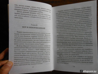 Жюль Верн: Жангада