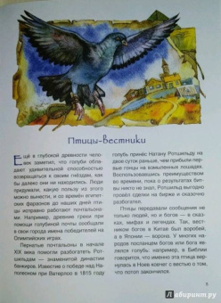 Андрей Дубровский: Вам письмо! История почты от скороходов до интернета